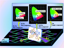 Graphical abstract: Unique lanthanide frameworks with 63 topology based on 1,5-naphthalenedisulfonate and 1H-imidazo[4,5-f][1,10]-phenanthroline: syntheses, crystal structure, photoluminescence, and white light emission