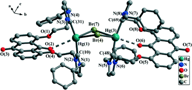 Graphical abstract: Preparation and structure of NHC Hg(ii) and Ag(i) macrometallocycles
