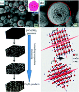 Graphical abstract: Self-assembly process of China rose-like β-Co(OH)2 and its topotactic conversion route to Co3O4 with optimizable catalytic performance