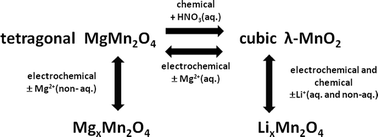 Graphical abstract: Electrochemical and chemical insertion/deinsertion of magnesium in spinel-type MgMn2O4 and lambda-MnO2 for both aqueous and non-aqueous magnesium-ion batteries