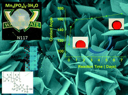 Graphical abstract: Bio-inspired formation of nanostructured arrays on flexible substrates with superoleophobicity