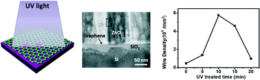 Graphical abstract: Direct growth of ZnO nanowire arrays on UV-irradiated graphene