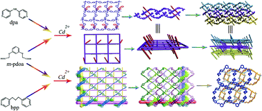 Graphical abstract: Unique topological motifs in two Cd(ii)-coordination polymers: mutual-embedded 2D bilayers, 3D polythreaded structures, self-penetrated networks and 2D → 2D interpenetrated homochiral bilayers