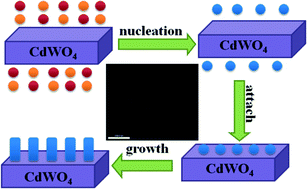 Graphical abstract: Synthesis of ZnWO4/CdWO4 core–shell structured nanorods formed by an oriented attachment mechanism with enhanced photocatalytic performances