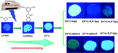 Graphical abstract: N-donor ligands enhancing luminescence properties of seven Zn/Cd(ii) MOFs based on a large rigid π-conjugated carboxylate ligand