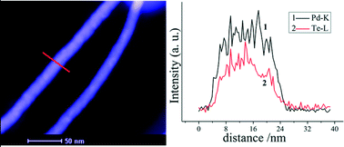 Graphical abstract: Facile template-based high-yield-transformation synthesis and electrocatalytic properties of PdTe nanowires