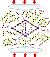 Graphical abstract: Perfluorocarbon liquid under pressure: a medium for gas delivery