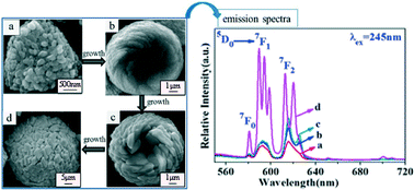 Graphical abstract: Controllable synthesis, growth mechanism and luminescence property of a novel monodisperse microsphere with a hole for Zn8[(BO3)3O2(OH)3]:Eu3+