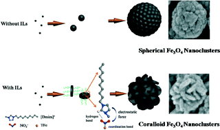 Graphical abstract: Controllable synthesis of coralloid Fe3O4 nanoclusters in an ionic liquid for catalytic applications