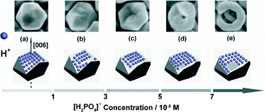 Graphical abstract: α-Fe2O3 concave and hollow nanocrystals: top-down etching synthesis and their comparative photocatalytic activities