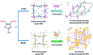 Graphical abstract: Two new three-dimensional metal–organic frameworks with 4-connected diamondoid and unusual (6,16)-connected net topologies based on planar tetranuclear squares as secondary building units