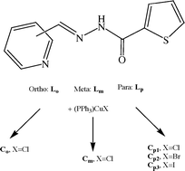 Graphical abstract: Structural and photophysical characterization of mono- and binuclear Cu(i) complexes based on carbohydrazones: a combined experimental and computational study