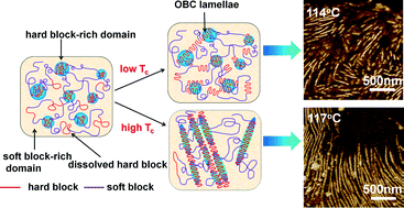 Graphical abstract: Exploring the crystallization-induced mesophase evolution in an olefin block copolymer through a rationally designed two-step isothermal crystallization strategy