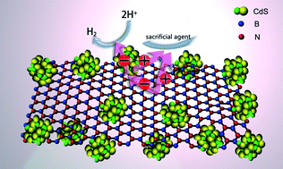 Graphical abstract: Fabrication of CdS/BNNSs nanocomposites with broadband solar absorption for efficient photocatalytic hydrogen evolution