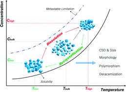 Graphical abstract: Application of temperature cycling for crystal quality control during crystallization