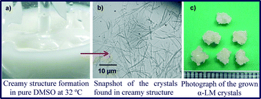 Graphical abstract: Understanding the crystallization behavior of α-lactose monohydrate (α-LM) through molecular interaction in selected solvents and solvent mixtures under different growth conditions