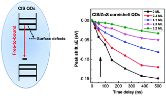 Graphical abstract: Photocarrier recombination dynamics in ternary chalcogenide CuInS2 quantum dots