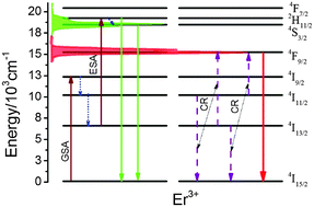 Graphical abstract: Upconversion luminescence mechanisms of Er3+ ions under excitation of an 800 nm laser