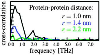 Graphical abstract: Water-mediated long-range interactions between the internal vibrations of remote proteins