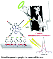 Graphical abstract: Solid nanoarchitecture – Cu(ii) solution: dynamics of the chemical communication