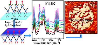 Graphical abstract: Self-oriented β-crystalline phase in the polyvinylidene fluoride ferroelectric and piezo-sensitive ultrathin Langmuir–Schaefer film