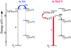 Graphical abstract: Unusual high fluorescence of two nitro-distyrylbenzene-like compounds induced by CT processes affecting the fluorescence/intersystem-crossing competition