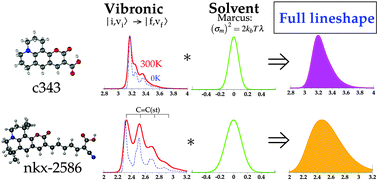 Graphical abstract: Disentangling vibronic and solvent broadening effects in the absorption spectra of coumarin derivatives for dye sensitized solar cells
