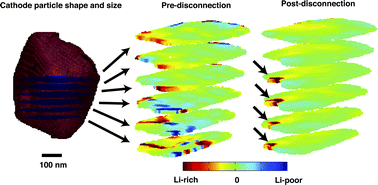 Graphical abstract: In situ strain evolution during a disconnection event in a battery nanoparticle