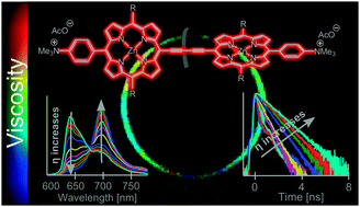 Graphical abstract: Dual mode quantitative imaging of microscopic viscosity using a conjugated porphyrin dimer