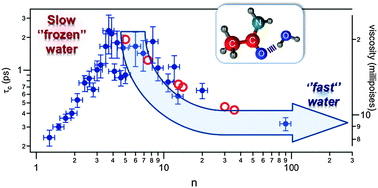 Graphical abstract: Slow-to-fast transition of hydrogen bond dynamics in acetamide hydration shell formation