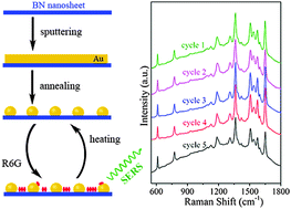 Graphical abstract: Boron nitride nanosheets as improved and reusable substrates for gold nanoparticles enabled surface enhanced Raman spectroscopy