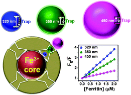 Graphical abstract: Size-dependent penetration of carbon dots inside the ferritin nanocages: evidence for the quantum confinement effect in carbon dots