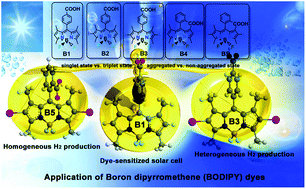 Graphical abstract: The relationship between the boron dipyrromethene (BODIPY) structure and the effectiveness of homogeneous and heterogeneous solar hydrogen-generating systems as well as DSSCs