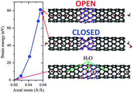 Graphical abstract: Composition-dependent buckling behaviour of hybrid boron nitride–carbon nanotubes