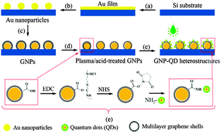 Graphical abstract: Fabrication of nanoscale heterostructures comprised of graphene-encapsulated gold nanoparticles and semiconducting quantum dots for photocatalysis