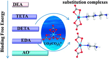 Graphical abstract: Sequestering uranium from UO2(CO3)34− in seawater with amine ligands: density functional theory calculations