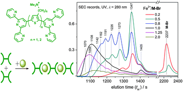 Graphical abstract: Alcohol-soluble bis(tpy)thiophenes: new building units for constitutional dynamic conjugated polyelectrolytes