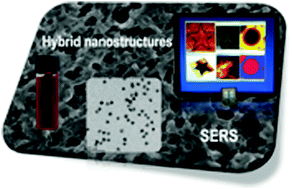 Graphical abstract: Hybrid nanostructures for SERS: materials development and chemical detection
