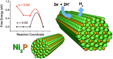 Graphical abstract: Widely available active sites on Ni2P for electrochemical hydrogen evolution – insights from first principles calculations