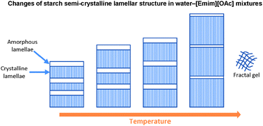 Graphical abstract: Understanding the structural disorganization of starch in water–ionic liquid solutions