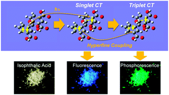Graphical abstract: Visible room-temperature phosphorescence of pure organic crystals via a radical-ion-pair mechanism