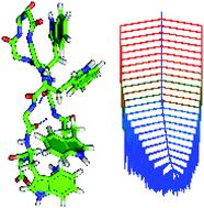 Graphical abstract: Energy landscapes of a hairpin peptide including NMR chemical shift restraints