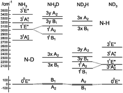 Graphical abstract: The Jahn–Teller effect in the presence of partial isotopic substitution: the  [[B with combining tilde]] 1E′′ state of NH2D and NHD2