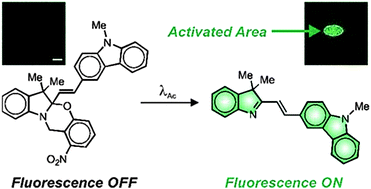 Graphical abstract: Optical writing and reading with a photoactivatable carbazole