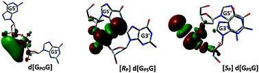 Graphical abstract: The influence of phosphorothioate on charge migration in single and double stranded DNA: a theoretical approach