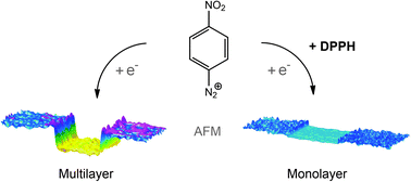 Graphical abstract: Evidence of monolayer formation via diazonium grafting with a radical scavenger: electrochemical, AFM and XPS monitoring