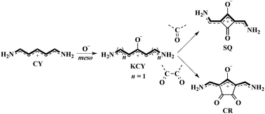 Graphical abstract: Ketocyanine dyes: impact of conjugation length on optical absorption and third-order polarizabilities