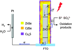 Graphical abstract: High and stable photoelectrochemical activity of ZnO/ZnSe/CdSe/CuxS core–shell nanowire arrays: nanoporous surface with CuxS as a hole mediator