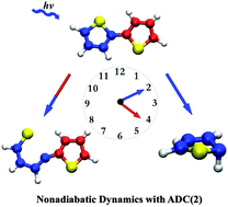 Graphical abstract: Excited state dynamics of thiophene and bithiophene: new insights into theoretically challenging systems