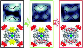 Graphical abstract: Self-assembly and coverage dependent thermally induced conformational changes of Ni(ii)-meso-tetrakis (4-tert-butylphenyl) benzoporphyrin on Cu(111)